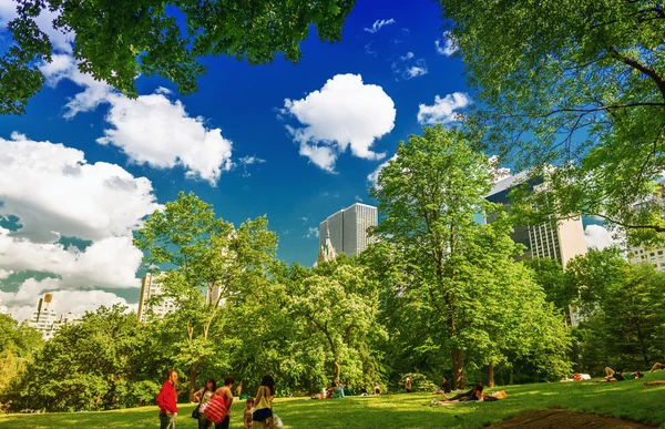 Ciudad de Nueva York Central Park — Foto de Stock