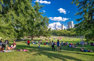İnsanlar New York Central Park'ta