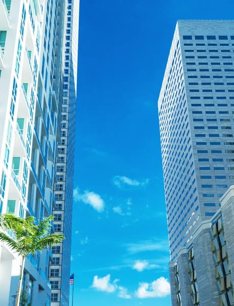 Miami, městské budovy a panorama — Stock fotografie