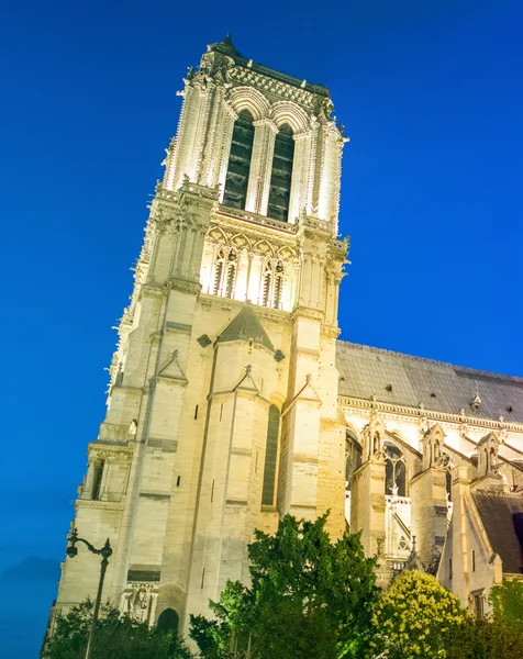 Notre Dame w nocy, po stronie widoku — Zdjęcie stockowe