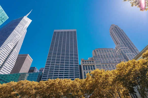 Skyscrapers and nature in Bryant Park — Stock Photo, Image