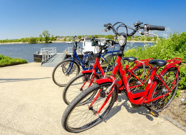 Цветные велосипеды, припаркованные вдоль реки — стоковое фото