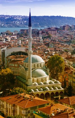 Istanbul cami ve cityscape