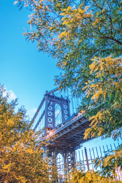 Manhattan Bridge omges av träd — Stockfoto