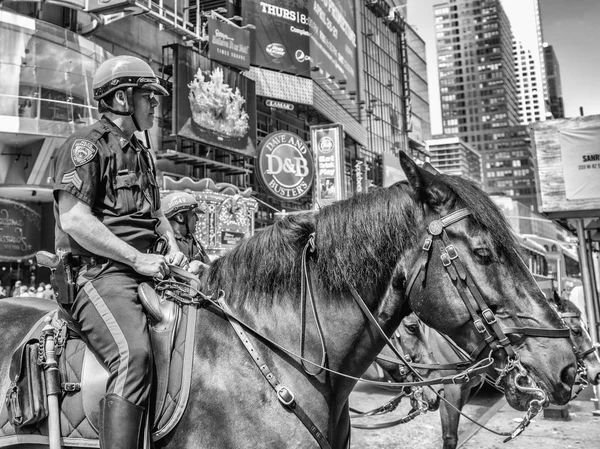 Politieagent rijdt zijn paard — Stockfoto