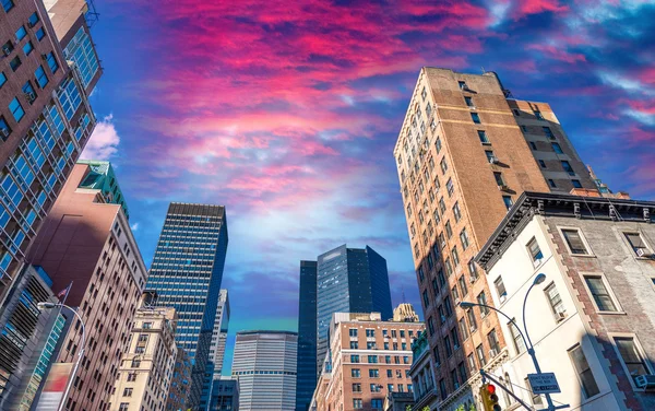 Rascacielos de Manhattan con árboles de la ciudad, Nueva York — Foto de Stock