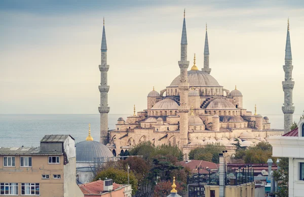 Magnificenza della Moschea Blu — Foto Stock