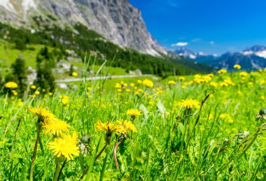 Yaz sezonunda, İtalyan Dolomites Alpin manzara