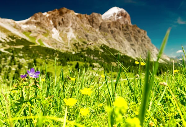 Fantastiska topparna i Dolomiterna — Stockfoto