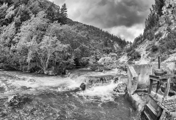 Río y bosque de los Alpes italianos — Foto de Stock