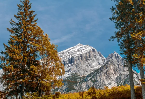 Trees and mountains against blue sky — Stock Photo, Image