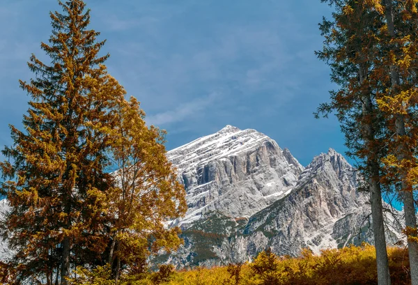 Stromy a horami proti modré obloze — Stock fotografie