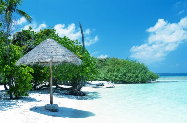 Splendidi colori delle isole Maldive — Foto Stock