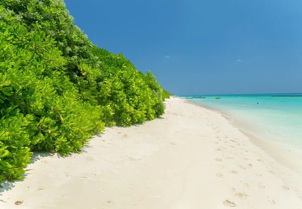 Colori meravigliosi delle Maldive . — Foto Stock