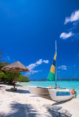 Catamaran over a wonderful tropical beach clipart