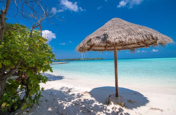 Tropical beach with straw umbrella — Stock Photo, Image