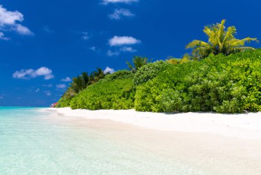 Awesome plaj Maldivler. Beyaz kum ve turkuaz suları