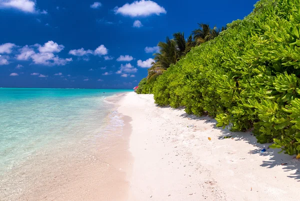 Чудовий пляж з Thoddoo, Мальдіви — стокове фото