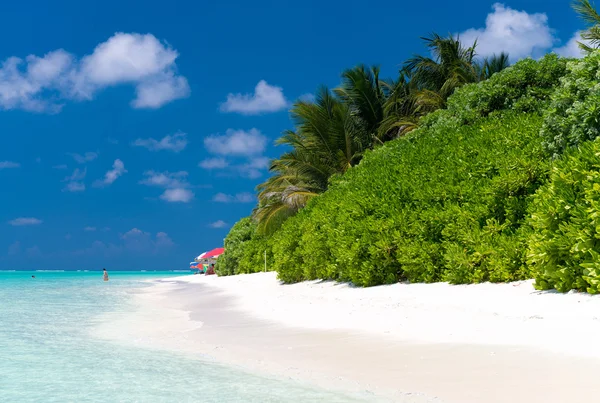 Awesome beach of Maldives. White sand and turquoise waters — Stock Photo, Image