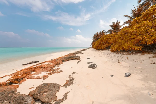 Wspaniała plaża Thoddoo — Zdjęcie stockowe