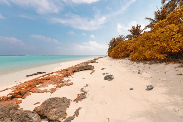 Underbara stranden av Thoddoo — Stockfoto