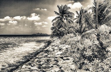 Tropik ada manzarası