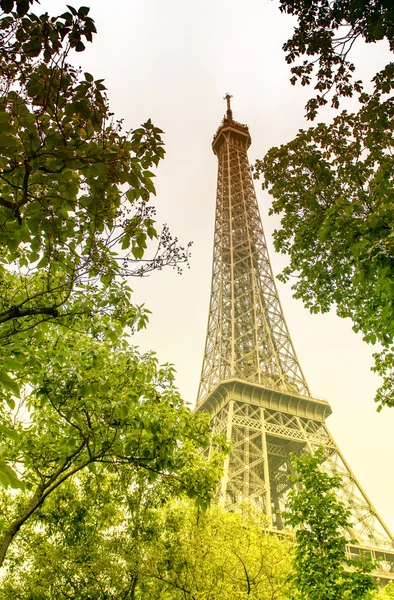 La Tour Eiffel, Paris. Landmark surrounded by trees in summer — Stock Photo, Image