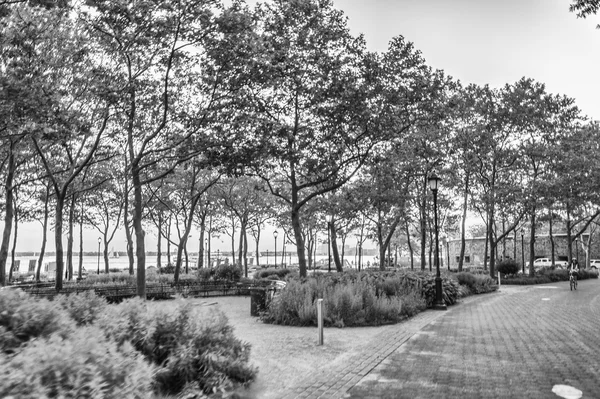 Park i New York City — Stockfoto