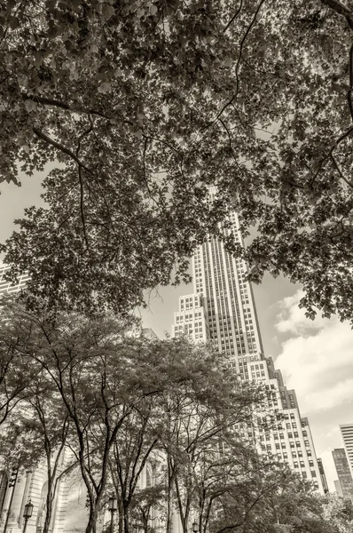 Nowy Jork Fifth Avenue i biblioteki publicznej w obszarze — Zdjęcie stockowe