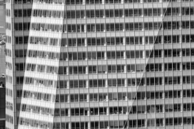 New York City Universiteler