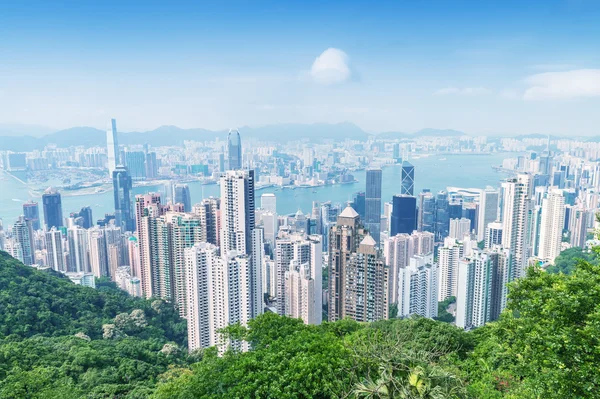 Hong Kong 'un gökdelenleri — Stok fotoğraf