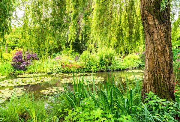 Fransa darbeydi Monet'nin Bahçe bir bahar gününde — Stok fotoğraf