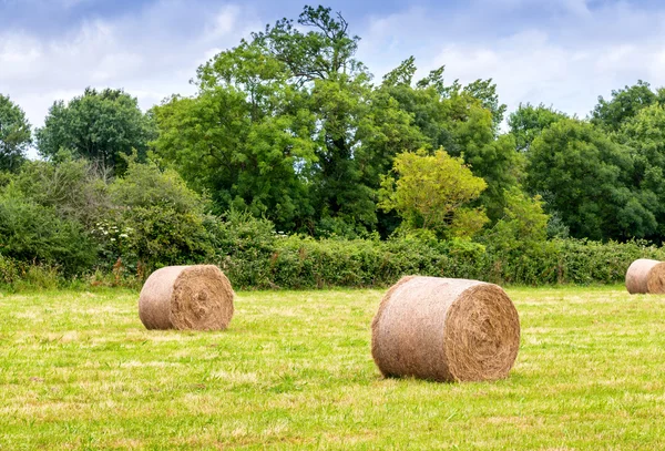 Scenic landscape with hay bales on Summer day, Normandy - France — Stock Photo, Image