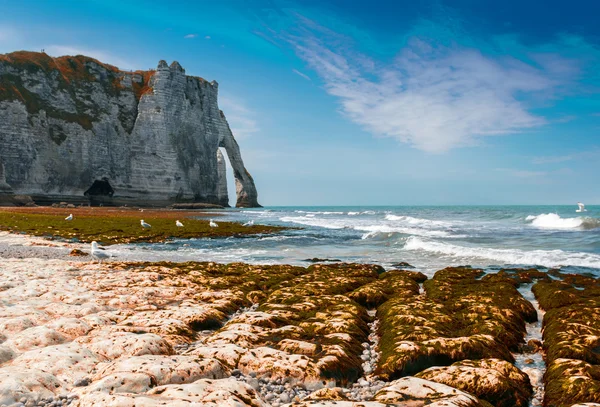 Etretat, Normandy - Ranska — kuvapankkivalokuva