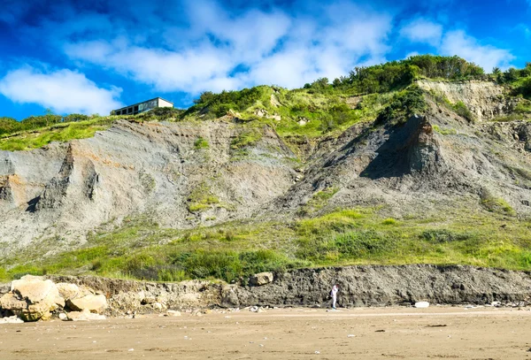 Hermosa costa de Normandía — Foto de Stock