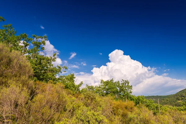 Schöne Sommer-Ansicht von colorado provençalische - provence, Frankreich — Stockfoto