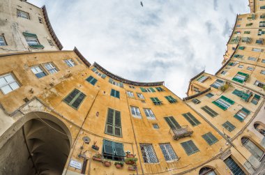Ancient medieval city buildings of Lucca, Tuscany. Fisheye view clipart
