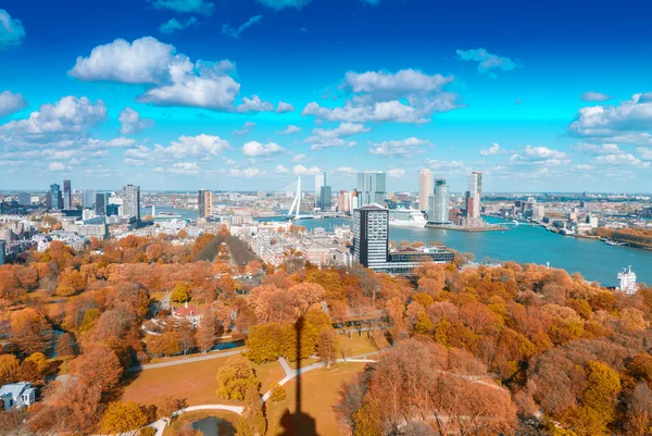 Rotterdam, Hollanda. Güzel güneşli bir şehir manzarası — Stok fotoğraf