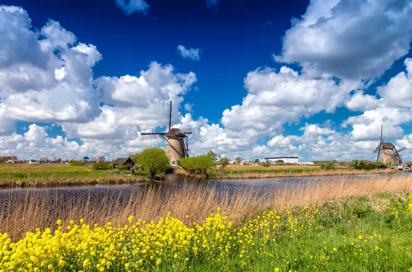 Väderkvarnar i Kinderdijk, Nederländerna — Stockfoto