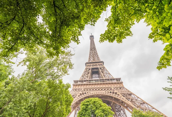 Paris. Beautiful Tour Eiffel surrounded and framed by green tree — Stock Photo, Image