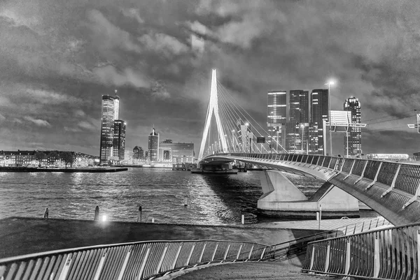 Rotterdam skyline. Beautiful view after sunset — Stock Photo, Image