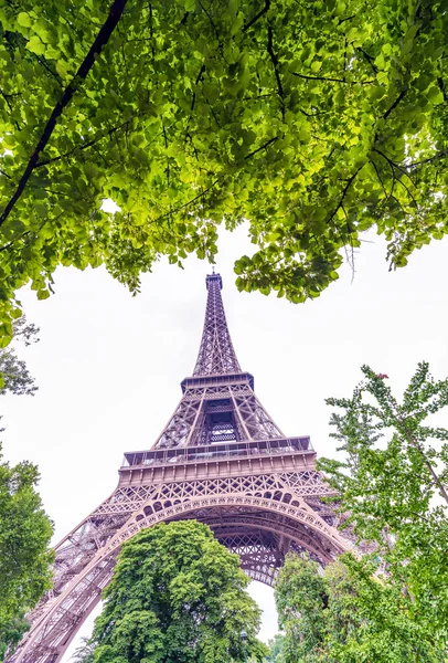 Paryż. Piękne Tour Eiffel położony i otoczony przez zielone drzewo — Zdjęcie stockowe