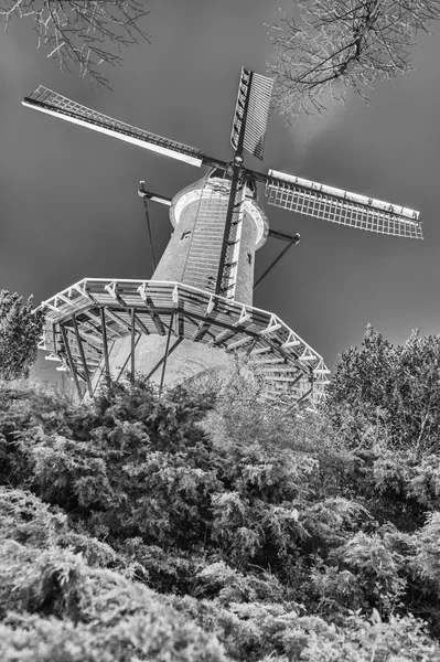 Větrný mlýn Nizozemsko v noci — Stock fotografie