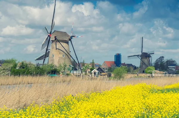 Windmolens van Kinderdijk, Nederland — Stockfoto