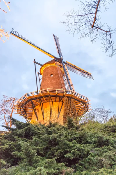 Noční pohled na větrný mlýn, Alkmaar, Nizozemsko — Stock fotografie