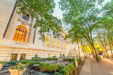 Harika Manhattan gece manzarası