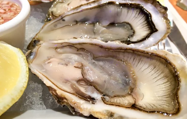 Dish of Tasty Oysters — Stock Photo, Image