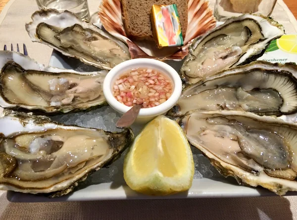 Dish of Tasty Oysters — Stock Photo, Image