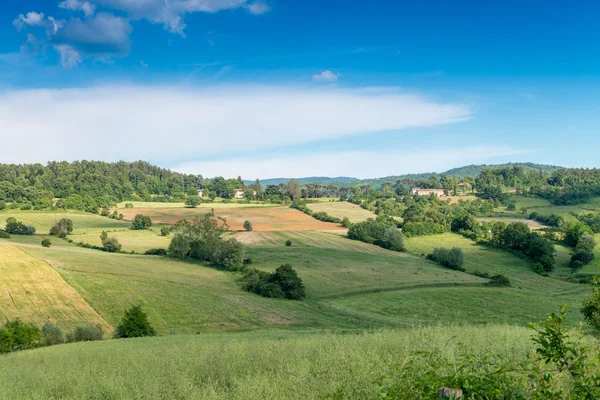Bibbiena landskap i Toscana — Stockfoto