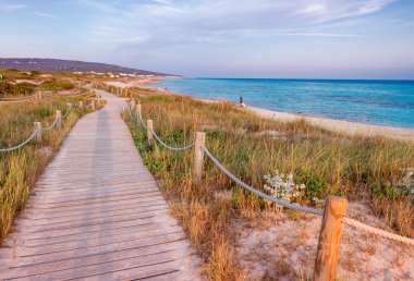 Tropik adada ahşap İskelesi